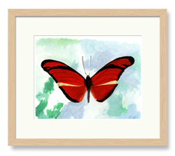 Butterflies Art Red